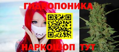 сатива Балахна